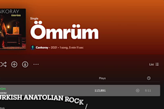 professionally mix your songs