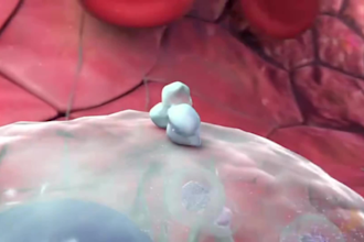 3d medical animation, 3d animation, medical animation, 3d modelling, 3d design