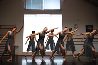 create amazing ballet choreography dance group ballet dance video for your song