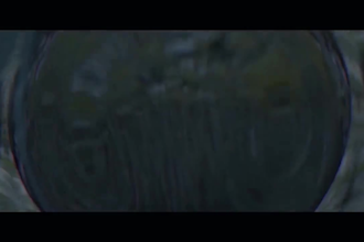 integer tincidun cras dapibus vivamus elementum semper nisi