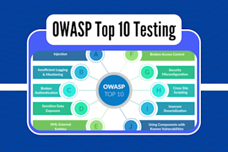 perform web application security testing as a professional ethical hacker