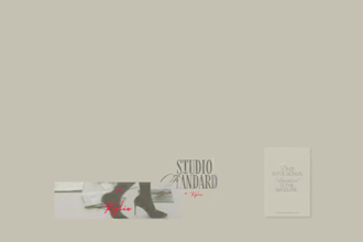 design canva branding kit, logo design, brand style guide and visual identity