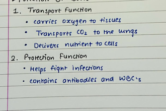 provide professional handwriting service
