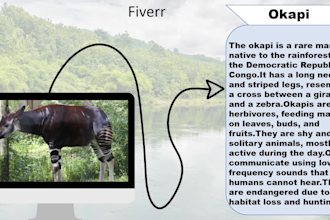 create academic powerpoint slides for projects