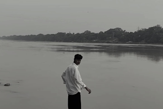 short videos reels and tiktok videos