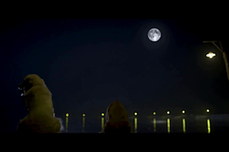 create realistic cgi animal vfx compositing for your videos