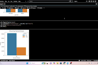 provide scientific data analysis and machine learning