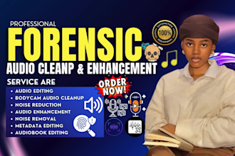 do forensic audio cleanup, enhancement, detect background noise, audio turning