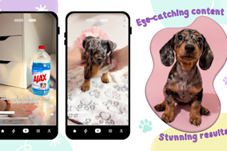 be your dog ugc creator and model for tiktok, instagram reels, amazon and ads