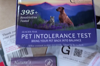 create engaging dog and pet ugc videos for your brand