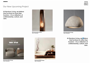 design and build a professional ecommerce store on shopify
