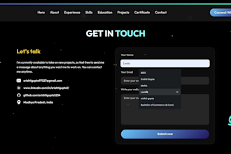 develop a responsive portfolio website with react and modern UI