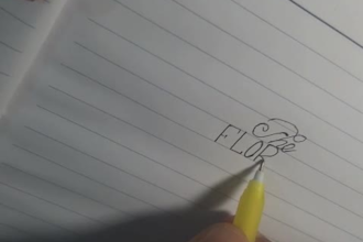 handwrite personalized letters, notes, and documents for you