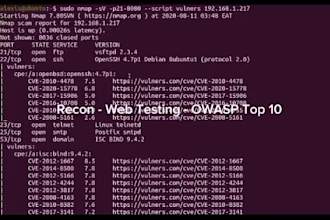 perform penetration testing and vulnerability assessment