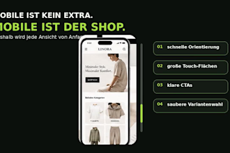 build a professional shopify store