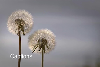 add captions and provide an srt file for your video