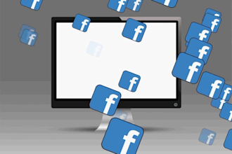 expert facebook and instagram ads setup and management ads
