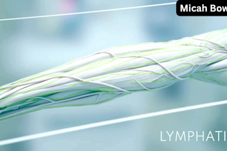 create 3d medical anatomy and healthcare explainer video animation