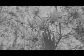 edit cinematic and aesthetic instagram reels