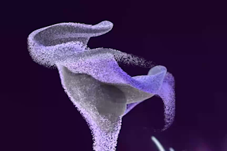 4k 3d abstract animation 3d loop animation 3d motion graphics 3d houdini video