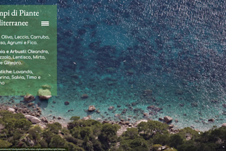 make premium interactive slides for you