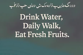 write SEO blog articles and urdu content
