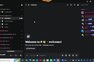 create a fully customized discord server setup with roles, bots channel