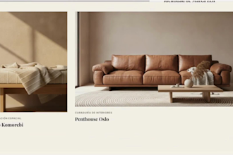 do web design with a premium appeal totally custom for you