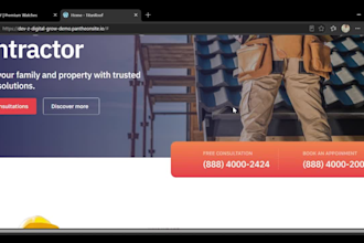 develop a professional website