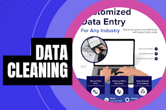 do data formatting  professionally at low price