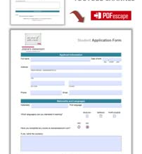 create accessible fillable PDF forms in adobe acrobat pro
