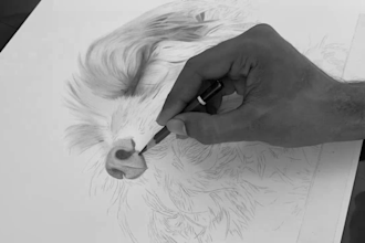 draw a hyperrealistic graphite pencil art from your photo