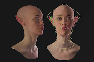 3d iclone facial rig,3d animaze model,52 blendshape,lips sync,mocap,vtuber arkit
