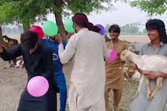 african happy birthday video african happy birthday video