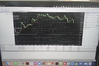 create a custom mt5 trading  bot expert advisor