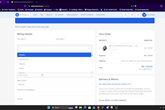 build ecommerce website using woocommerce with payments