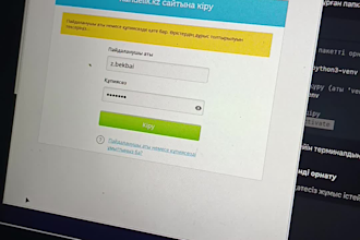 build professional python web automation and selenium scripts