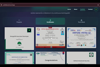 do modern students portfolio