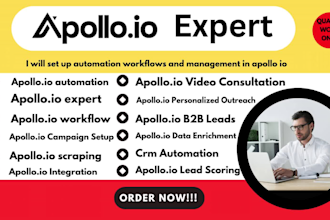 set up automation workflows and management in apollo io