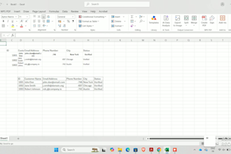 do data cleaning, data wrangling, and excel data entry
