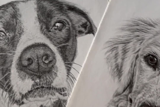 draw pencil pet portrait, dog portrait, cat portrait sketch
