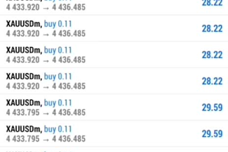 develop a professional mql4 mql5 expert advisor for meta trader 4 and 5