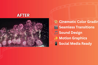 professionally color grade and color correct your videos