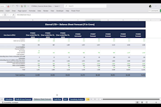 build a professional ib ready 3 statement financial model
