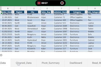 professional excel data entry data cleaning excel dashboard