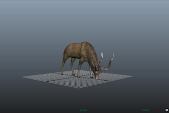 do 3d creatures animations for games flimes and videos