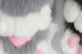 sew a custom full fursuit from your fursona reference fursuit x