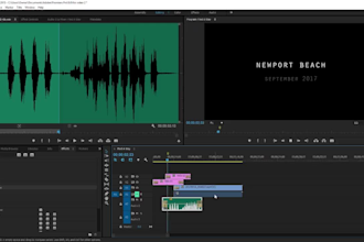 do professional sound design for your videos