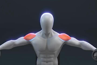create 3d workout animation, 3d anatomy exercise tutorial video, 3d gym, fitness