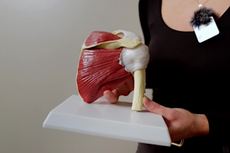 edit professional healthcare or clinic promotional video